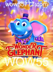 Explorando o Universo Fascinante de WonderElephant